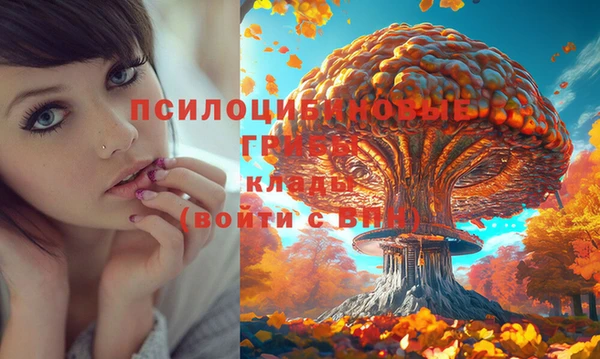 ECSTASY Арсеньев