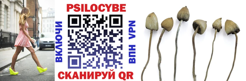 купить наркотик  Себеж  shop как зайти  Псилоцибиновые грибы прущие грибы  MEGA маркетплейс 